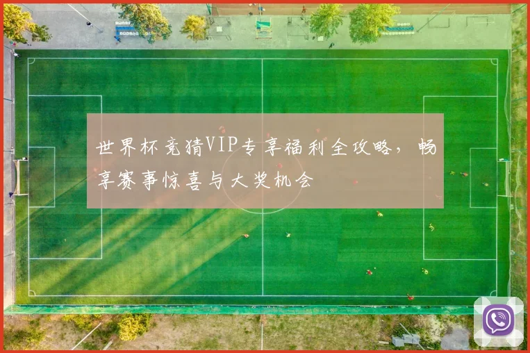 世界杯竞猜VIP专享福利全攻略，畅享赛事惊喜与大奖机会