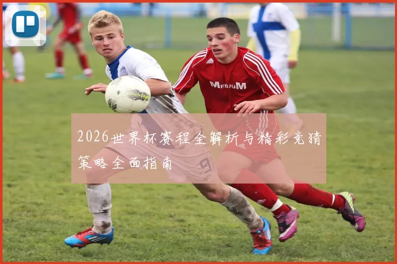 2026世界杯赛程全解析与精彩竞猜策略全面指南