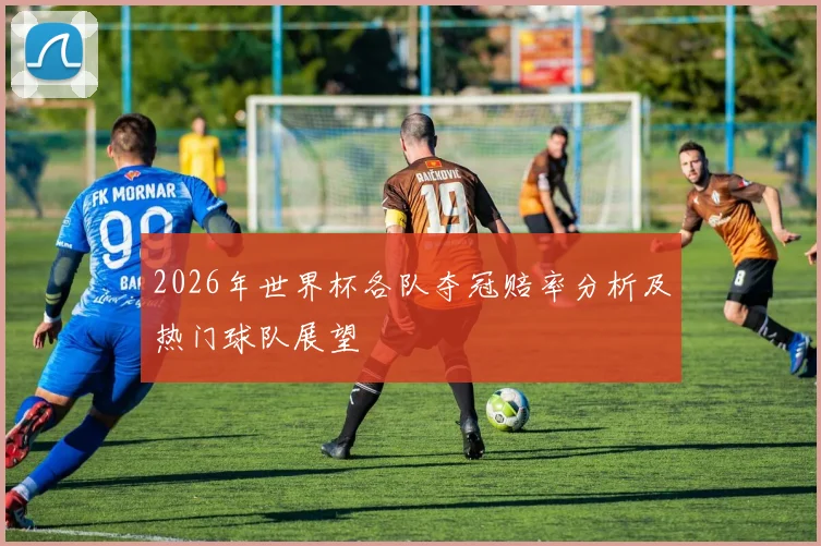 2026年世界杯各队夺冠赔率分析及热门球队展望