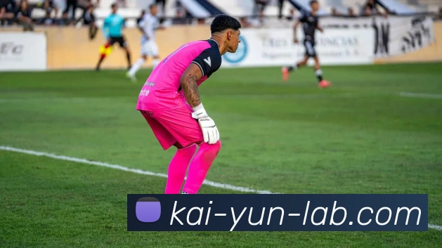 开云平台展示图